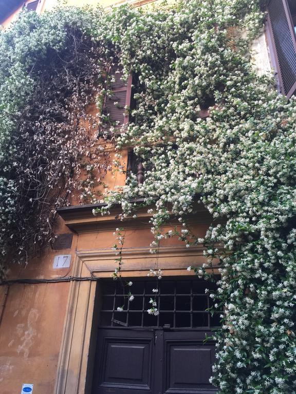 Mgpgroup Guest House Navona 2 روما المظهر الخارجي الصورة